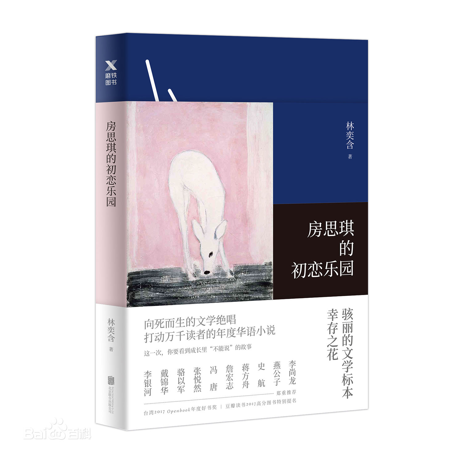 《房思琪的初戀樂(lè)園》 